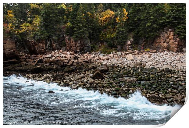 Rocky beach with ocean and foliage colors Print by Miro V