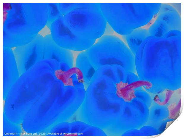 Abstract Closeup of Electric Blue Bell Peppers wit Print by William Jell