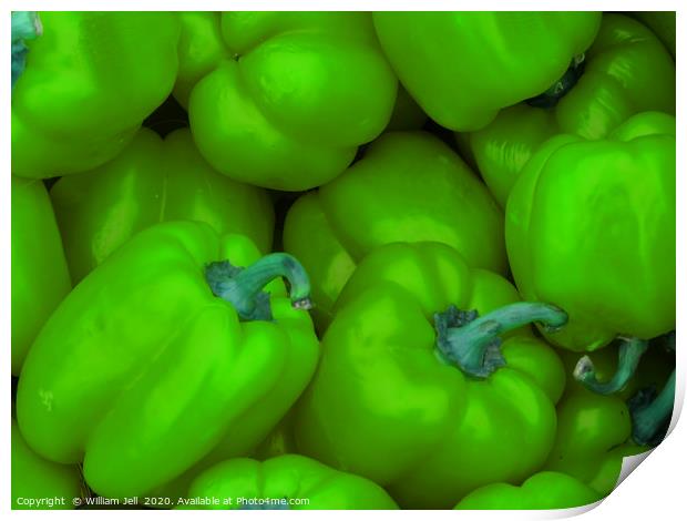 Crate of green bell peppers at Farmers Market Print by William Jell