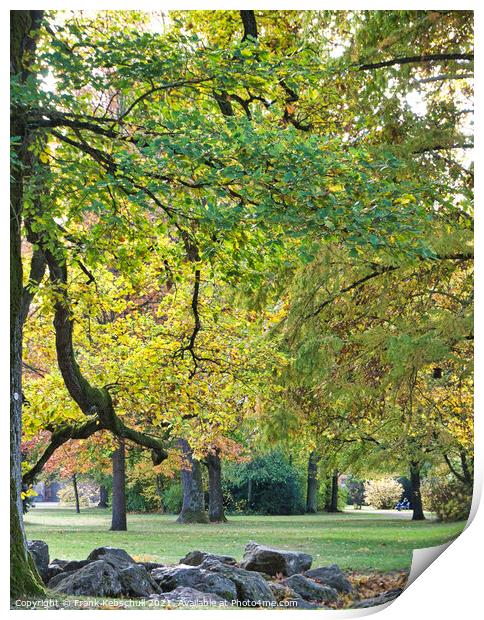 green tree in autumn Print by  Bullysoft