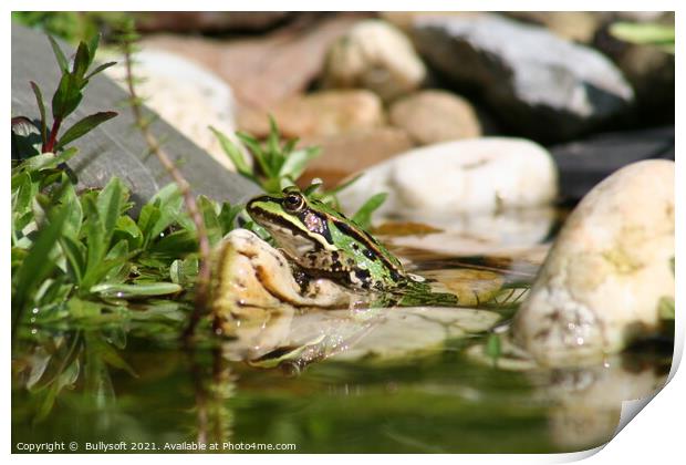 Frog Print by  Bullysoft