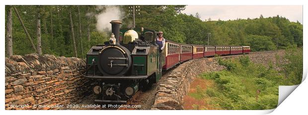 The Earl, Cei Mawr. Print by mark baker