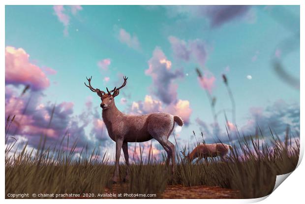 Deer in grass field at sunset or sunrise,3d illust Print by chainat prachatree