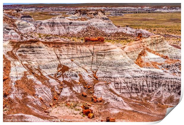 Petrified Wood Rock Logs National Park Arizona Print by William Perry