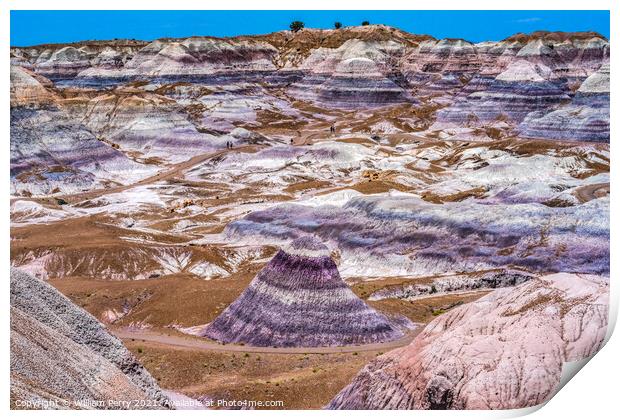 Purple Mountain Painted Desert Petrified Forest National Park Ar Print by William Perry