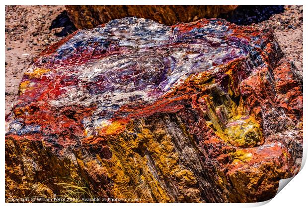 Petrified Wood Rock Abstract National Park Arizona Print by William Perry