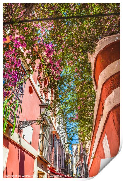 Colorful Building Flowers Santa Cruz Garden District Seville Spa Print by William Perry