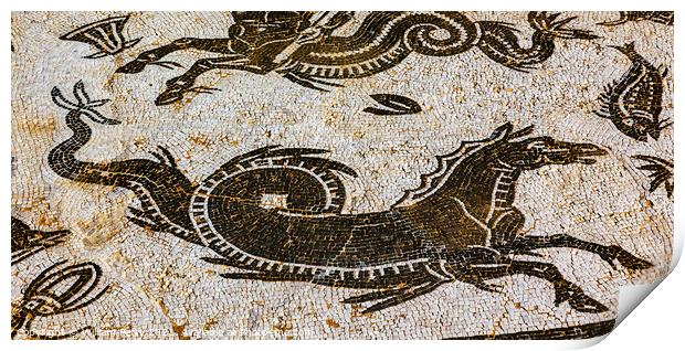 Ancient Horse Serpent Mosaic Italica Roman City Seville Andalusi Print by William Perry
