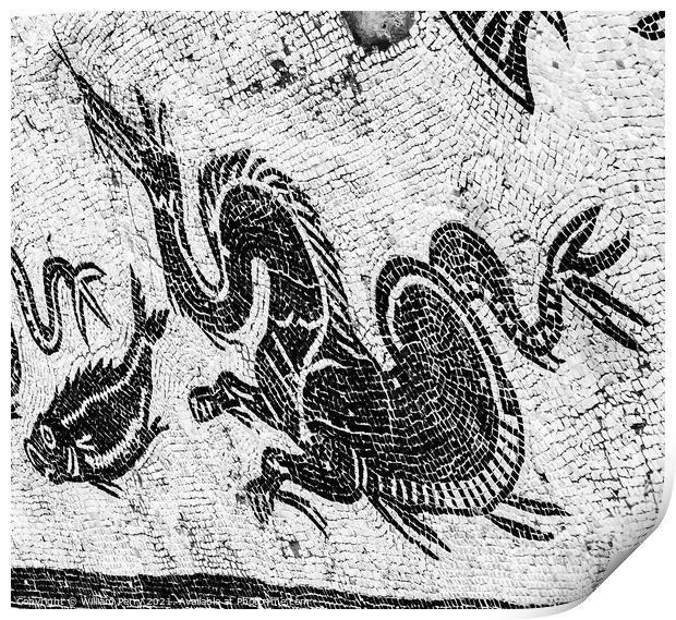 Ancient Dragon Fish Mosaic Italica Roman City Seville Andalusia  Print by William Perry