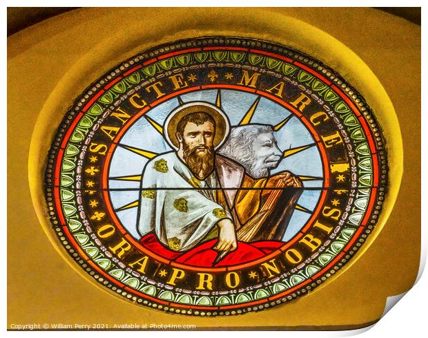 Saint Mark Lion Stained Glass Cathedral Punta Arenas Chile Print by William Perry