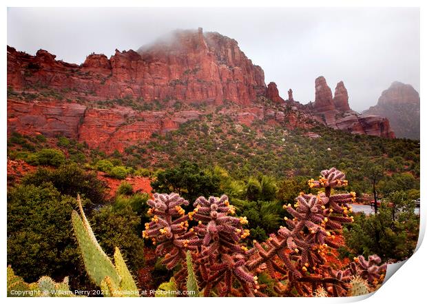 Madonna and Nuns Red Rock Canyon Rain Clouds Sedona Arizona Print by William Perry