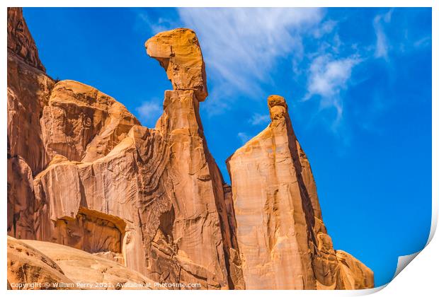 Queen Nefertiti Rock Park Avenue Section Arches National Park Mo Print by William Perry