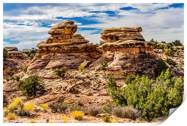 Rock Fromations Near Shoe Arch Canyonlands Needles Utah Print by William Perry