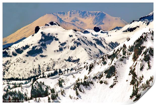 Snowy Mount Saint Helens and Ridge Lines Print by William Perry