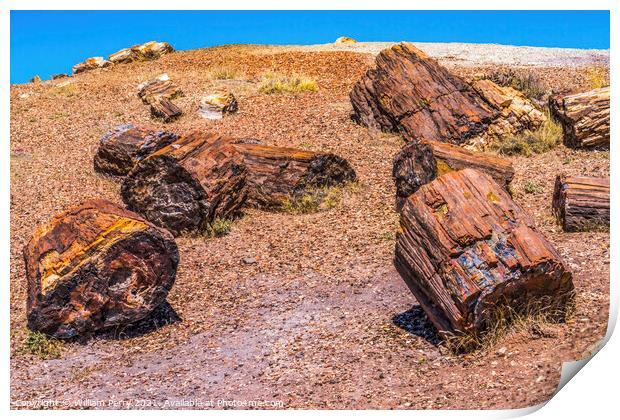 Petrified Wood Rock Logs National Park Arizona Print by William Perry