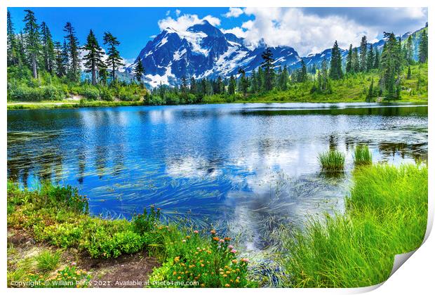 Picture Lake Evergreens Mount Shuksan Washington USA Print by William Perry