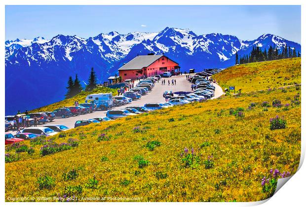 Hurricane Ridge Visitor Center Olympic National Park Washington Print by William Perry