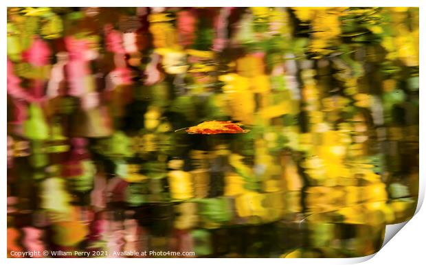 Floating Autumn Leaf Abstract Reflection Fall Colors Wenatchee R Print by William Perry