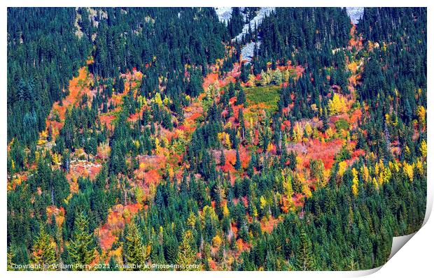 Fall Colors Mountain Sides Forest Stevens Pass Leavenworth Washi Print by William Perry