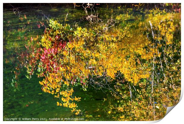 Yellow Leaves Fall Colors Reflection Wenatchee River Valley Wash Print by William Perry