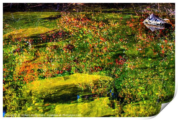  Fall Colors Green Water Reflection Abstract Wenatchee River Was Print by William Perry