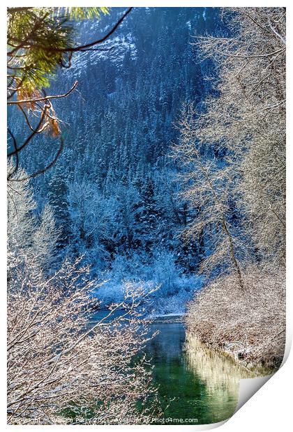Winter Leaves Snow Ice Sun Wenatchee River Washington Print by William Perry