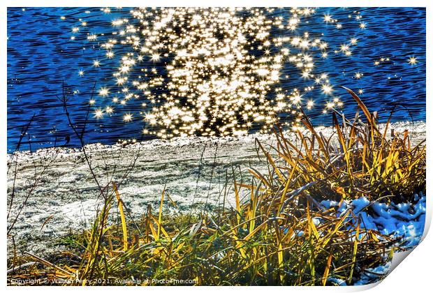 Wenatchee River Stars Winter Leaves Leavenworth Washington Print by William Perry