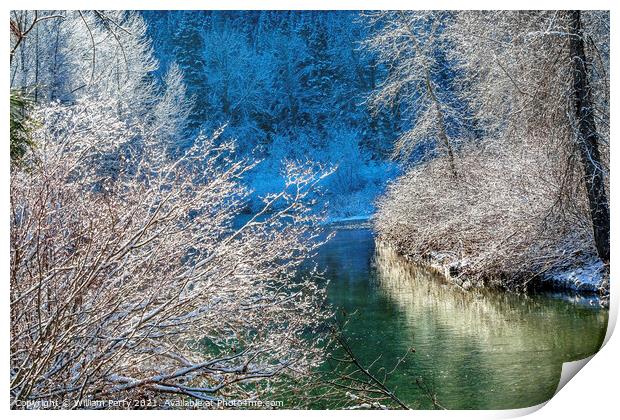 Winter Leaves Snow Ice  Wenatchee River Leavenworth Washinton Print by William Perry