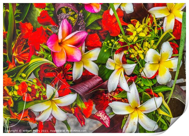 Pink Yellow Red Tropical Flowers  Chistmas Arrangement Plumeria  Print by William Perry