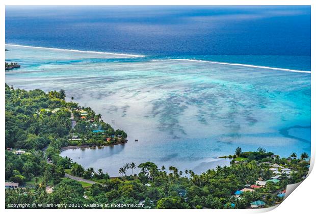 Colorful Outer Reef Blue Water Moorea Tahiti Print by William Perry
