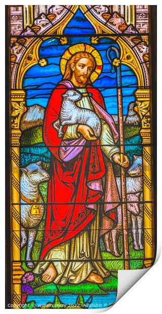 Jesus Lambs Stained Glass Church Saint Augustine Florida Print by William Perry