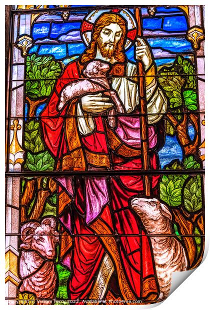 Jesus Lambs Stained Glass Church Saint Augustine Florida Print by William Perry