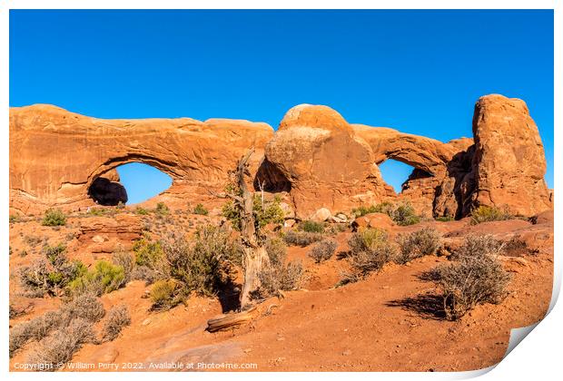 North South Windows Section Arches National Park Moab Utah  Print by William Perry