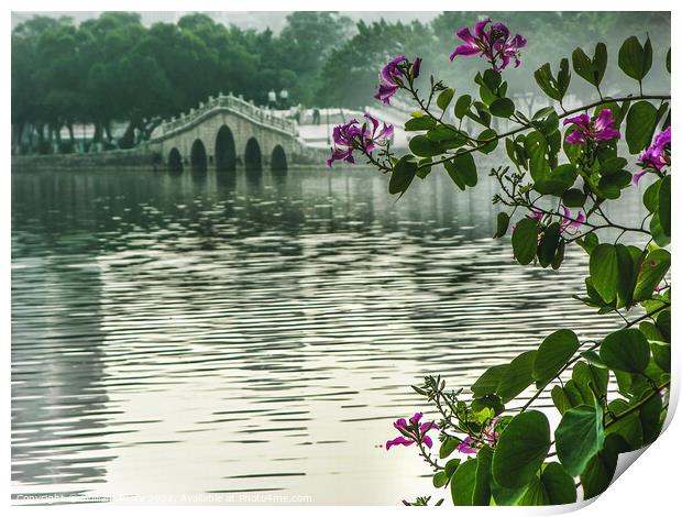Hong Kong Orchid Tree Chinese Bridge Huizhou China Print by William Perry