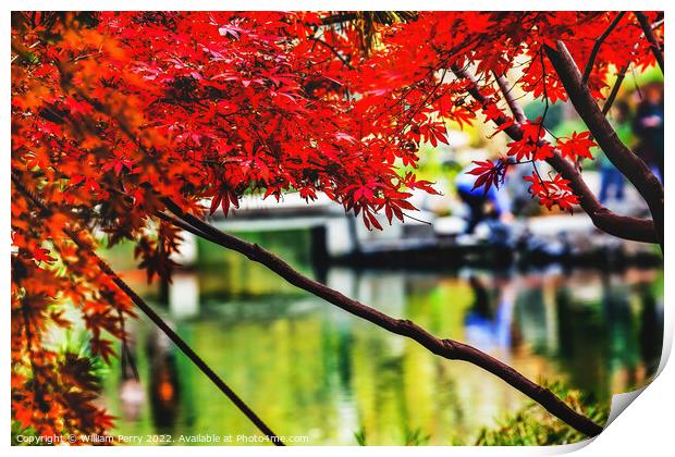 Orange Red Maple Leaves Bridge West Lake Hangzhou Zhejiang China Print by William Perry