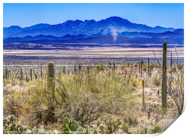 Dust Cloud Mountain Cactus Sonora Desert Muesum Tucson Arizona Print by William Perry