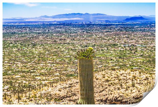 Mount Lemon View Saguaro Blooming Cactus Houses Tucson Arizona Print by William Perry