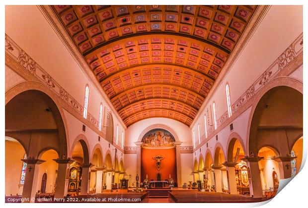 St. Augustine Cathedral Catholic Church Tucson Arizona Print by William Perry