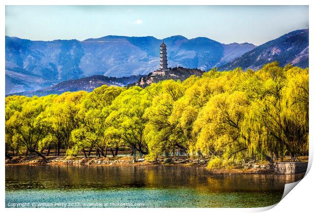 Yu Feng Pagoda Summer Palace Willows Beijing China Print by William Perry