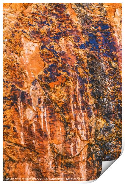 Rock Canyon Abstract Arches National Park Moab Utah Print by William Perry