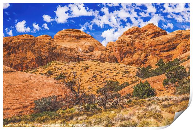 Rock Canyon Devils Garden Arches National Park Moab Utah  Print by William Perry