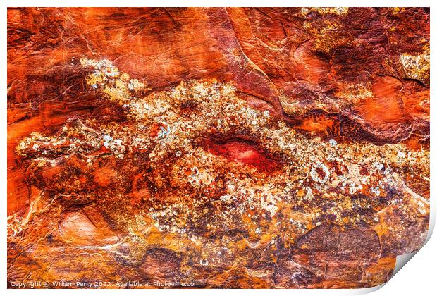 Rock Canyon Dragon Abstract Arches National Park Moab Utah Print by William Perry
