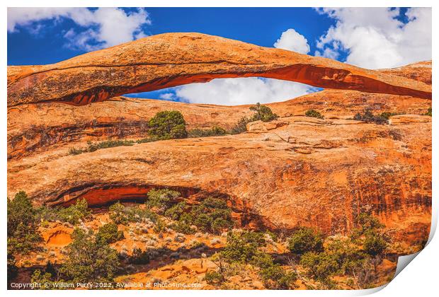 Colorful Landscape Arch Devils Garden Arches National Park Moab  Print by William Perry