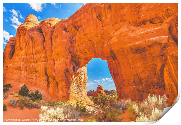 Pine Tree Arch Devils Garden Arches National Park Moab Utah  Print by William Perry