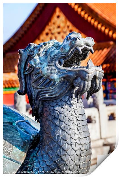 Dragon Bronze Statue Gugong Forbidden City Beijing China Print by William Perry