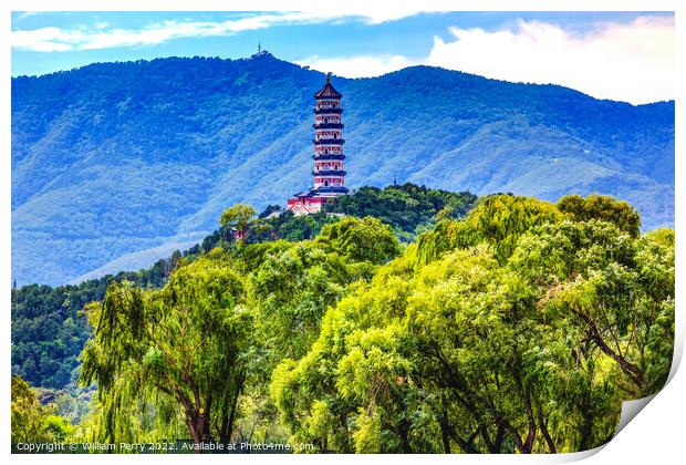 Yue Feng Pagoda Willow Trees Summer Palace Beijing China Print by William Perry