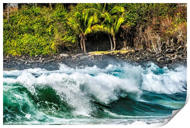 Colorful Large Wave Rocks Waimea Bay North Shore Oahu Hawaii Print by William Perry