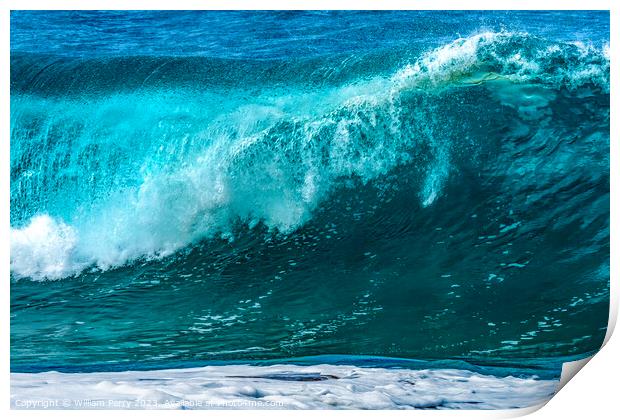 Colorful Large Wave Waimea Bay North Shore Oahu Hawaii Print by William Perry