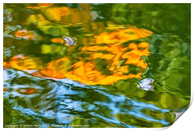 Floral Leaves Orange Green Water Reflection Abstract Habikino Os Print by William Perry