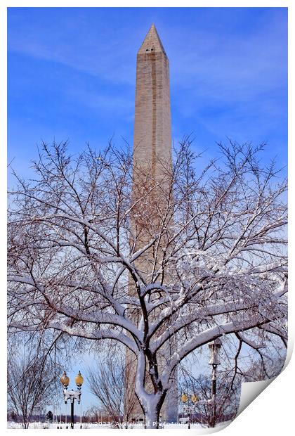 Washington Monument After the Snow Washington DC Print by William Perry
